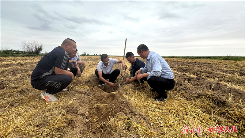 甘鲁联手为民勤&ldquo;秸秆深埋术&rdquo;盐碱地&ldquo;舒筋活络&rdquo;
