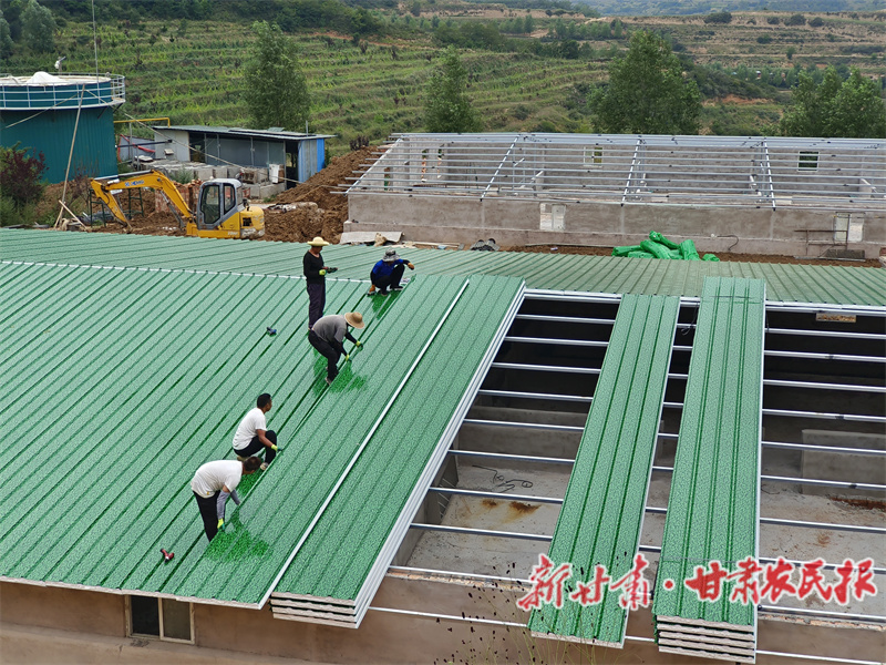 秦州区：集群项目稳步推进 生猪产业“畜”势勃发

