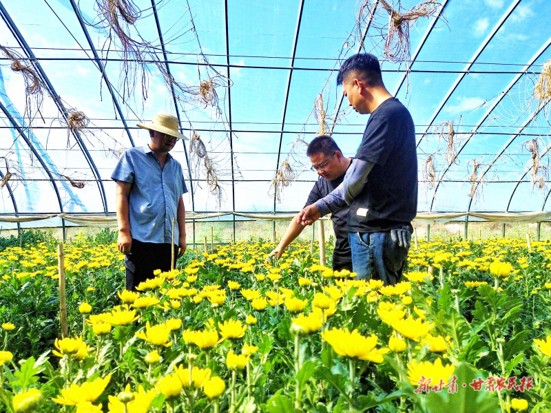 凉州区 “美丽产业”花开正艳