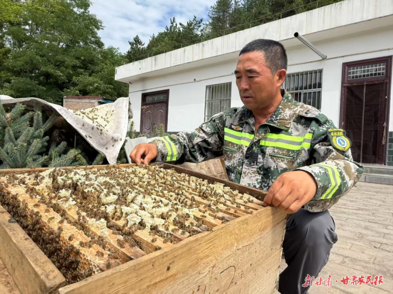 正宁 林下“掘金” 绿富“双赢”