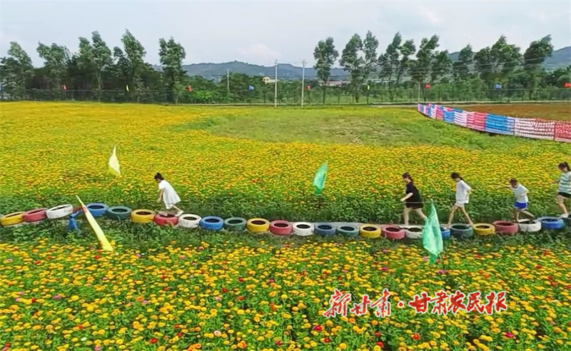 华亭：陌上村庄美 悠悠乡韵浓