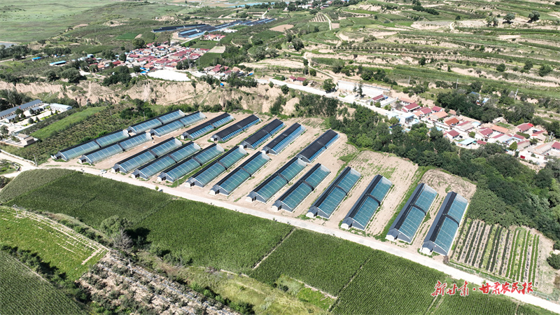 静宁：振兴产业鼓“钱袋子”