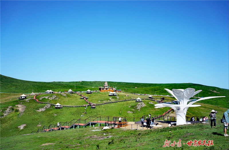 宕昌滩子草原，每一帧都是治愈系壁纸