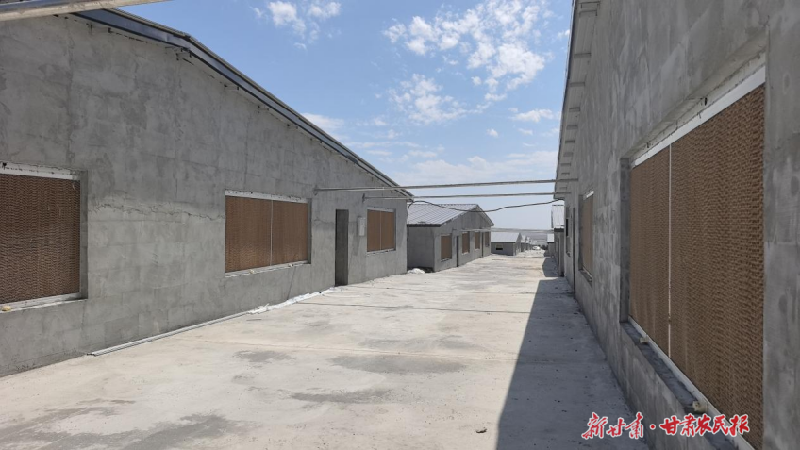 凉州区金山镇年出栏5万头生猪标准化生态养殖场即将投用