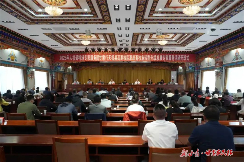 人社部特培专家一线&ldquo;把脉开方&rdquo; 赋能天祝畜牧业转型升级