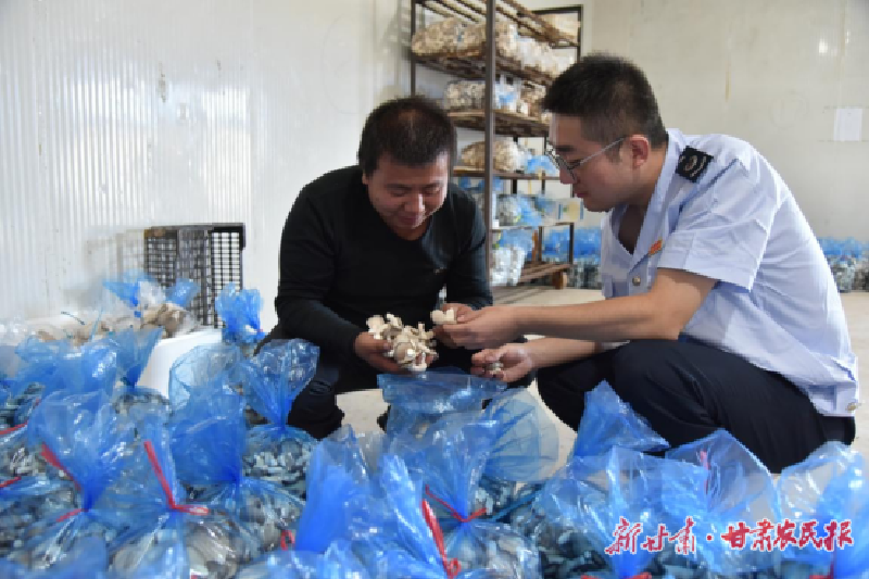 武威税务：税惠育苗助农兴 沃土生金硕果丰