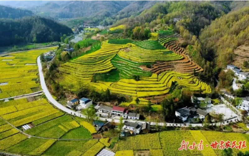 康县大南峪镇：“党建+”激活乡村振兴新动能