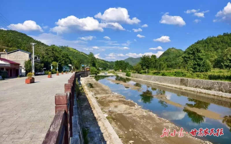 康县乡村“美颜”记：从“各扫门前雪”到“全域绿美净”