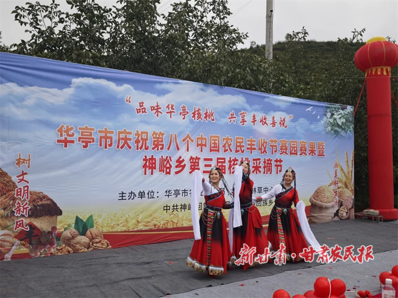 华亭：金秋核桃香满山 采摘节里庆丰年