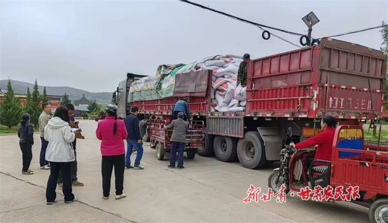 华亭：115.92 吨“秋日能量”点亮养牛户致富路