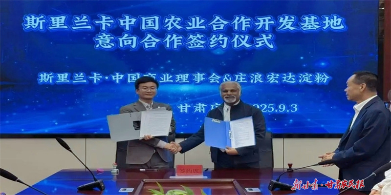 庄浪马铃薯全产业链优势赢得国际订单
