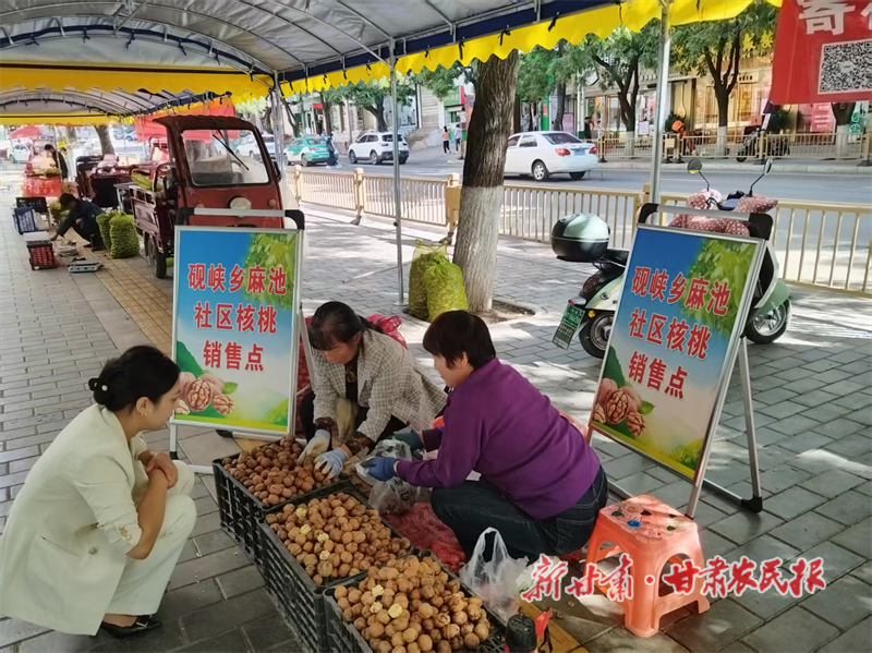 华亭：秋日“金果果” 鼓起钱袋子