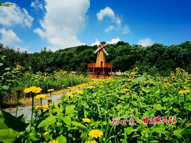 华亭：魅力大南峪别样风景美如画