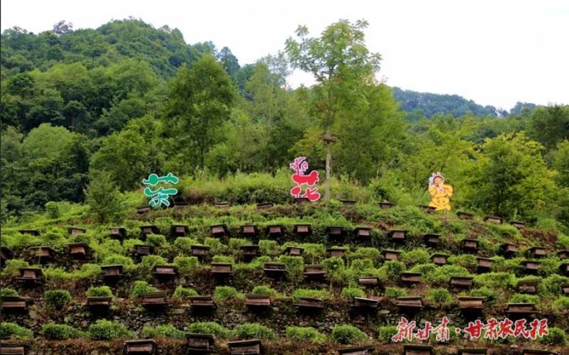 康县铜钱镇：“链”上党建，串起产业发展“聚能环”