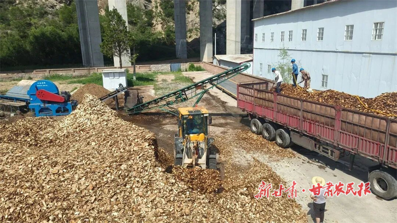 华亭：“强村公司”激活乡村振兴新动能