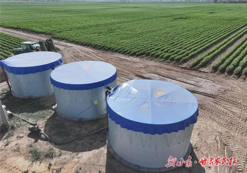 民勤县：&ldquo;节水神器&rdquo;助力 马铃薯喜获丰收