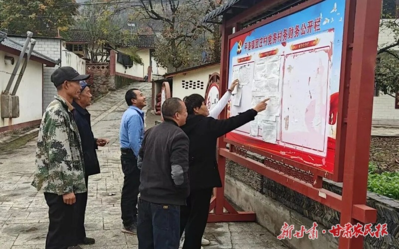 康县平洛镇：党建引领激活农区发展新动能