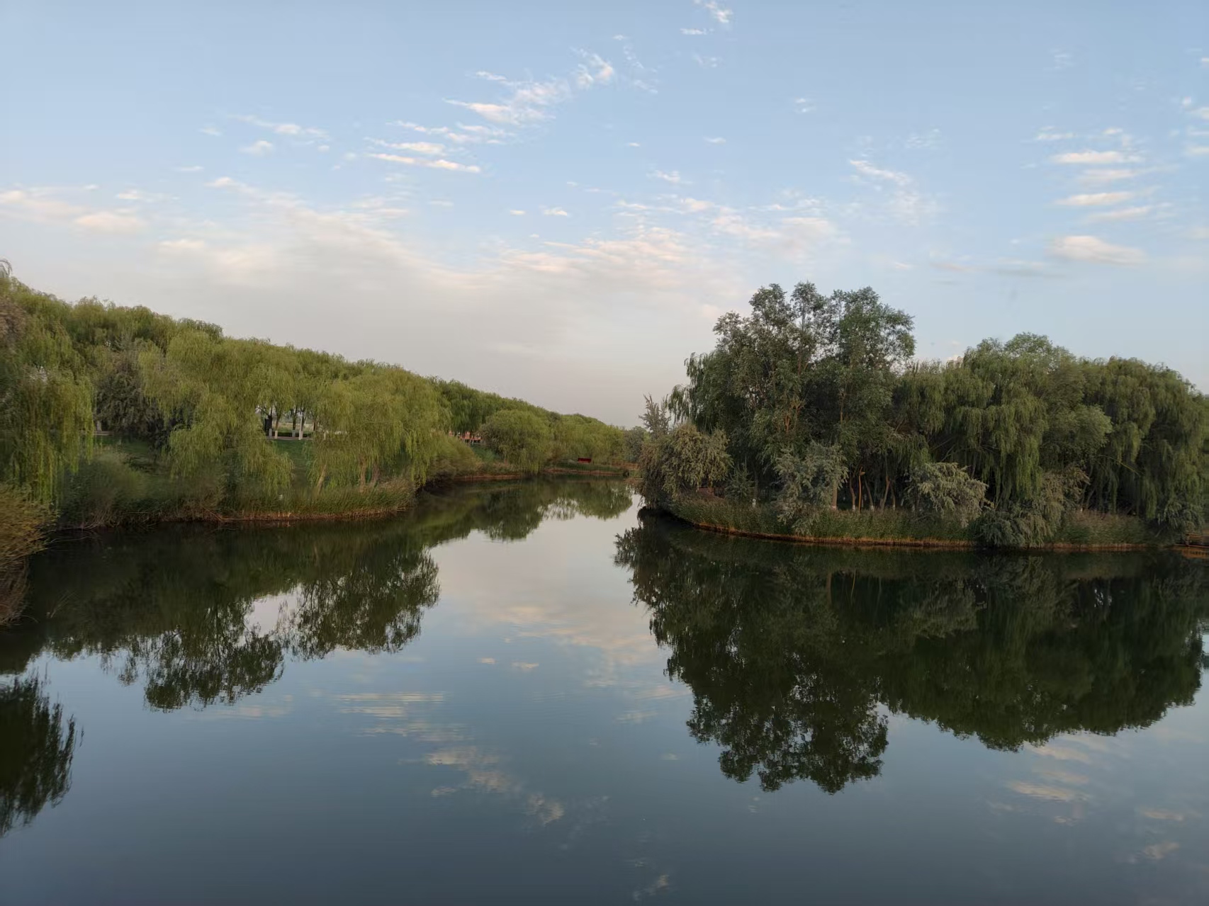 黑河畔的生态诗画