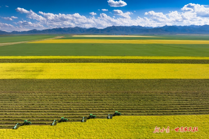 绿野新途 牧歌再起&mdash;&mdash;山丹草原畜牧业转型升级绘出乡村振兴新画卷
