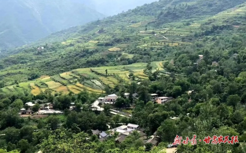 从“一叶小舢板”到“产业联合舰”——康县平洛镇跨村联建打造乡村振兴“新航道”