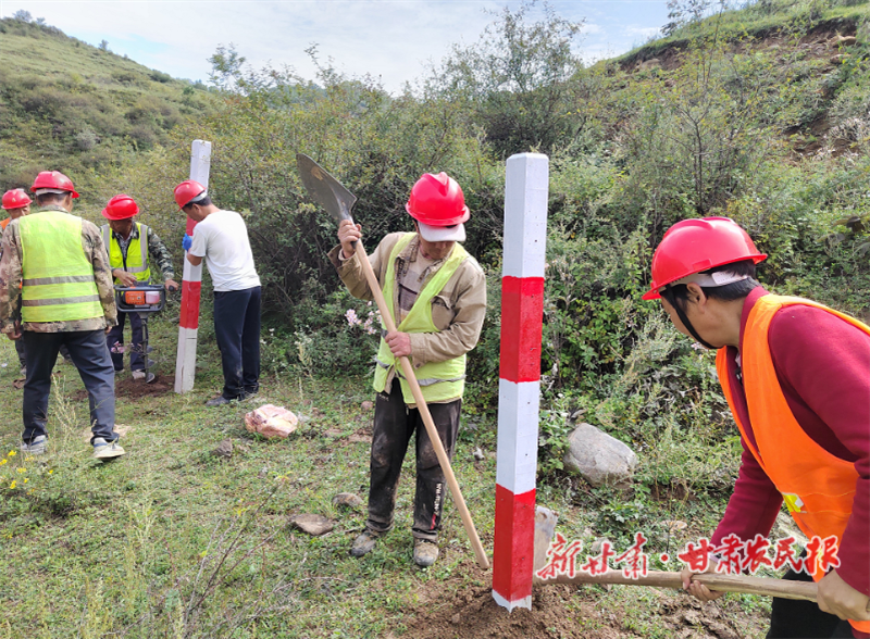 华亭:林草项目破局起势 绘就生态产业共兴新图景