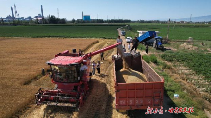 凉州:粮稳业兴乡村美 生态农业绘新卷