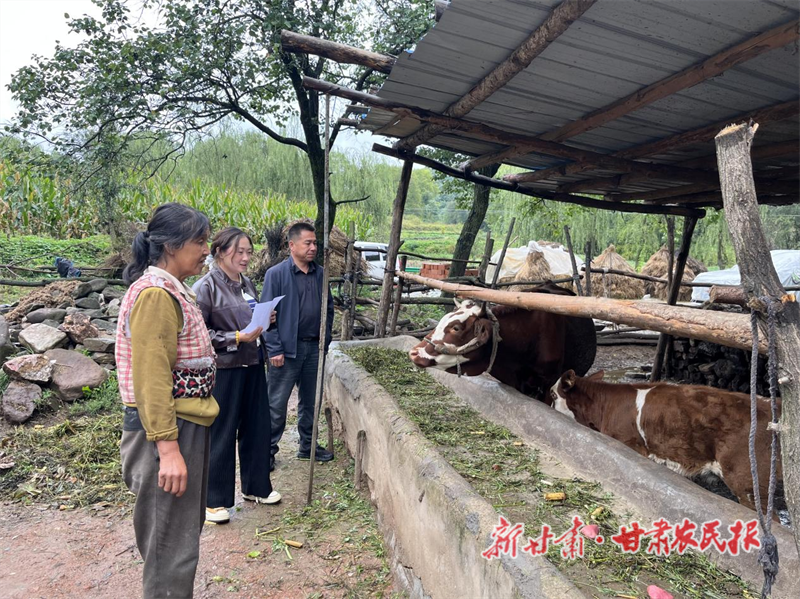 华亭：政策赋能 肉牛产业蓬勃发展