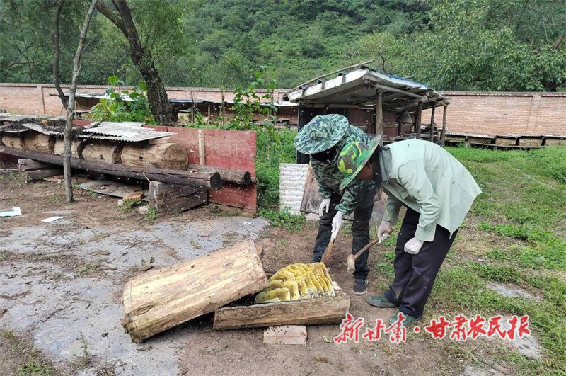 华亭:兴民村的“甜蜜经济”