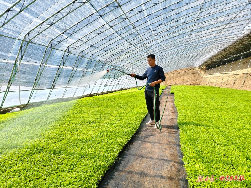 古浪 育出“金苗苗” 铺就致富路