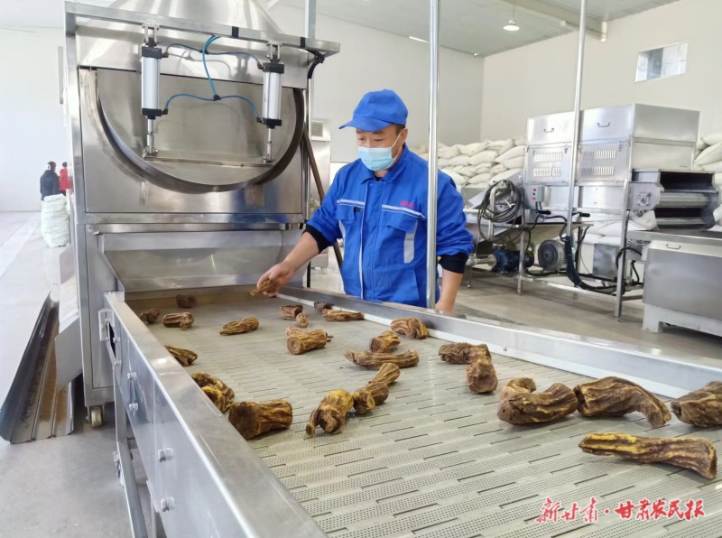 礼县中药材科技园生产车间