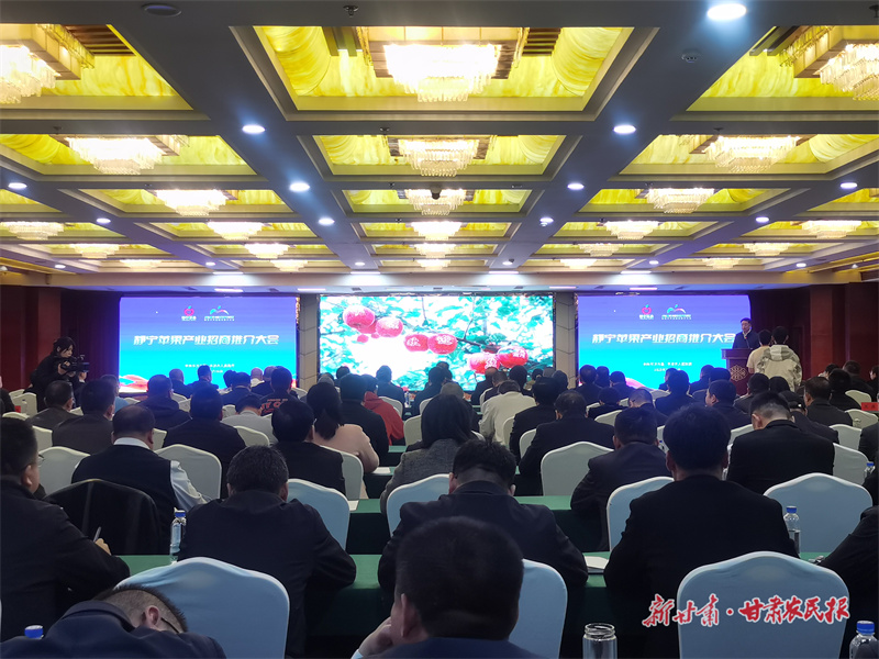 静宁苹果产业招商推介大会汇聚资源向高而攀