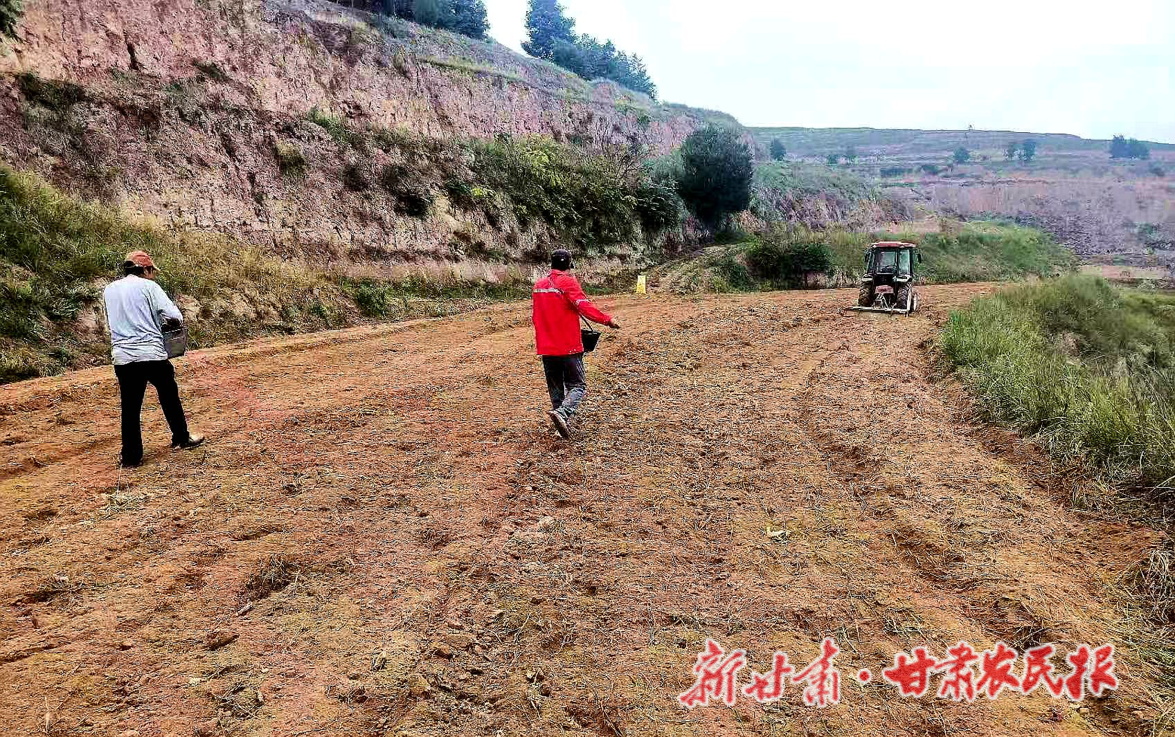 连阴雨不停 冬小麦咋种