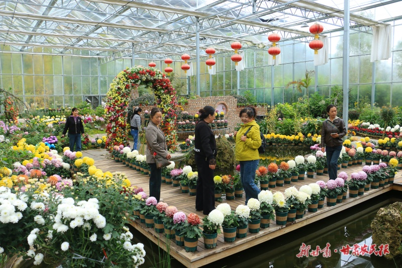 游客在贵清山植物园菊花展厅内赏花拍照