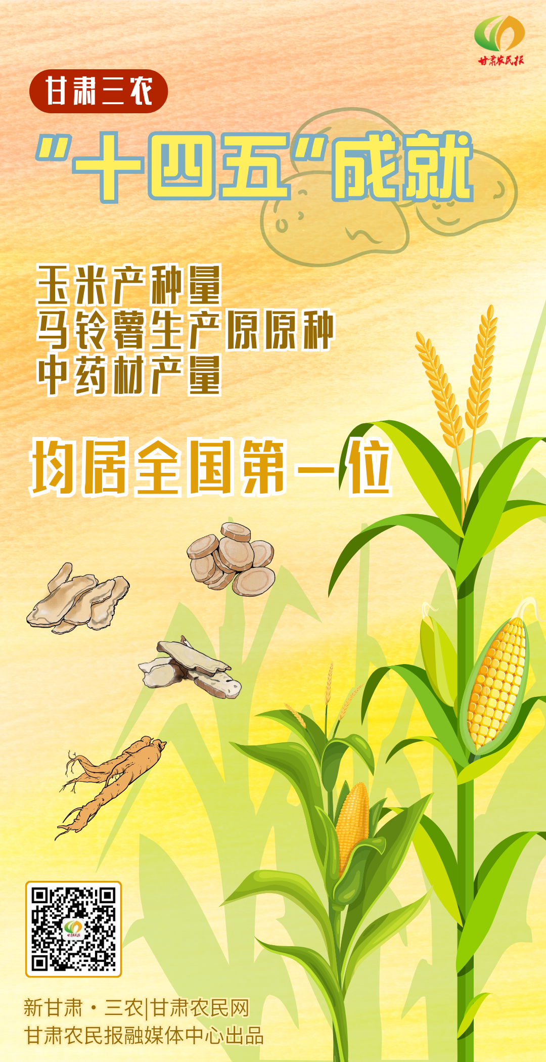 “十四五”成就 玉米 马铃薯 中药材产量居全国第一