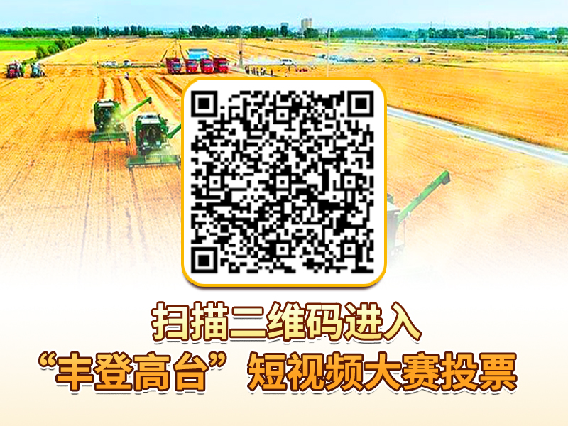 2025年“丰登高台”短视频大赛展播投票平台