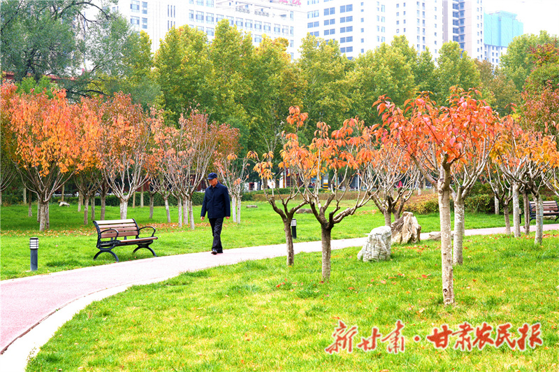 让城市“会呼吸”：秦州区巧织城市生态绿网 