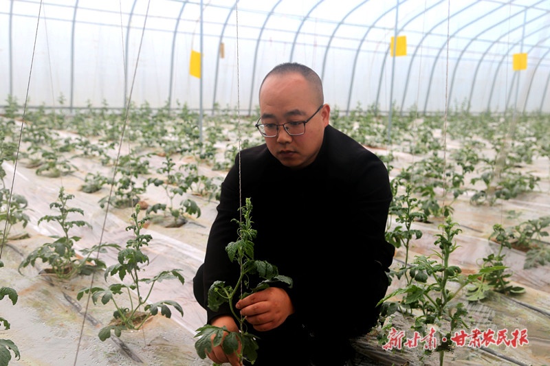 闫强与他的&ldquo;周庄西瓜&rdquo; 