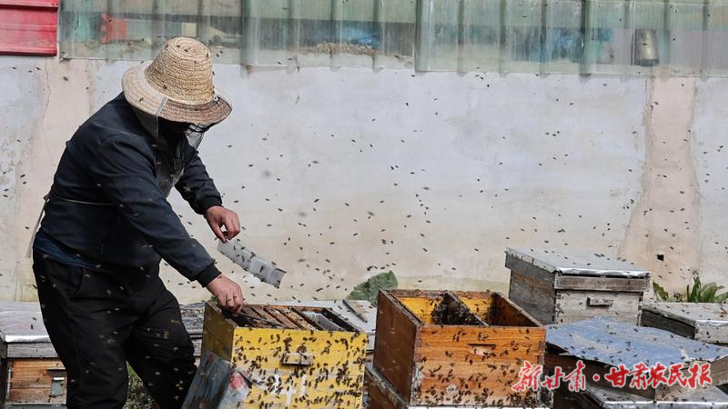 广河：&ldquo;五小产业&rdquo;酿出&ldquo;甜蜜生活&rdquo;