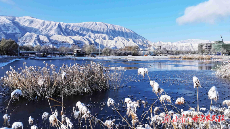雪落永靖 诗意满城