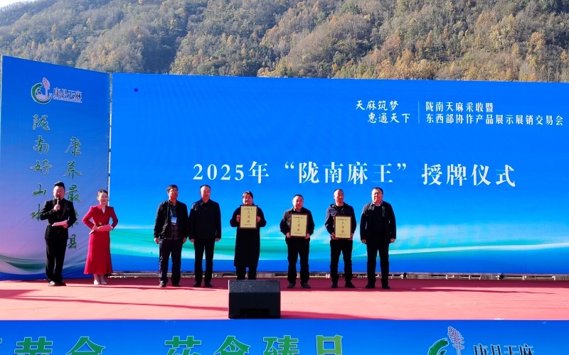 康县：一株天麻的价值跃升