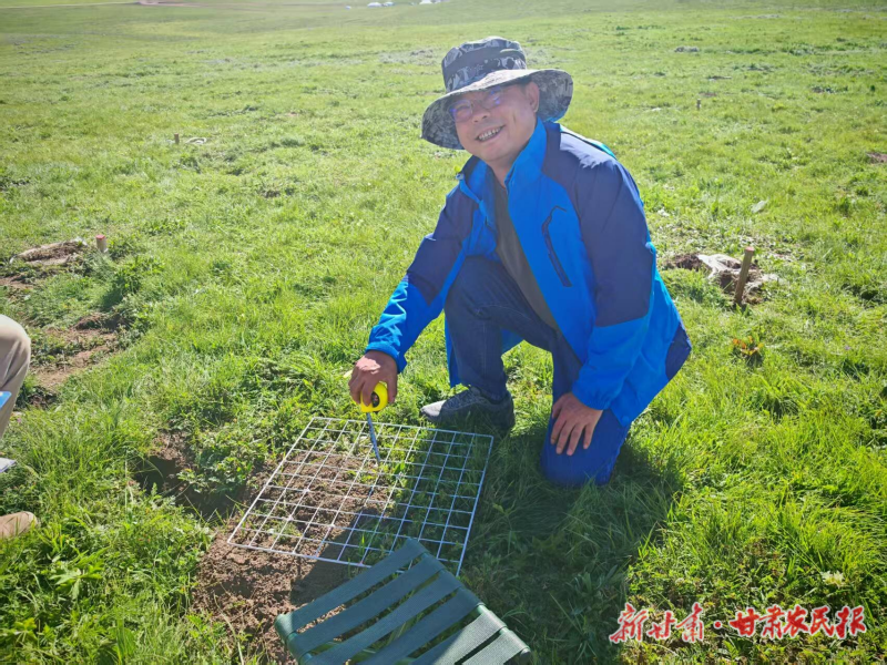 鼠口“夺”绿 一位草原科学家的“调解”之路——记甘肃农业大学草业学院教授花立民