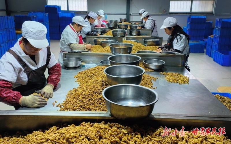 康县：&ldquo;妈妈岗&rdquo;破解 &ldquo;顾家务工&rdquo;难题