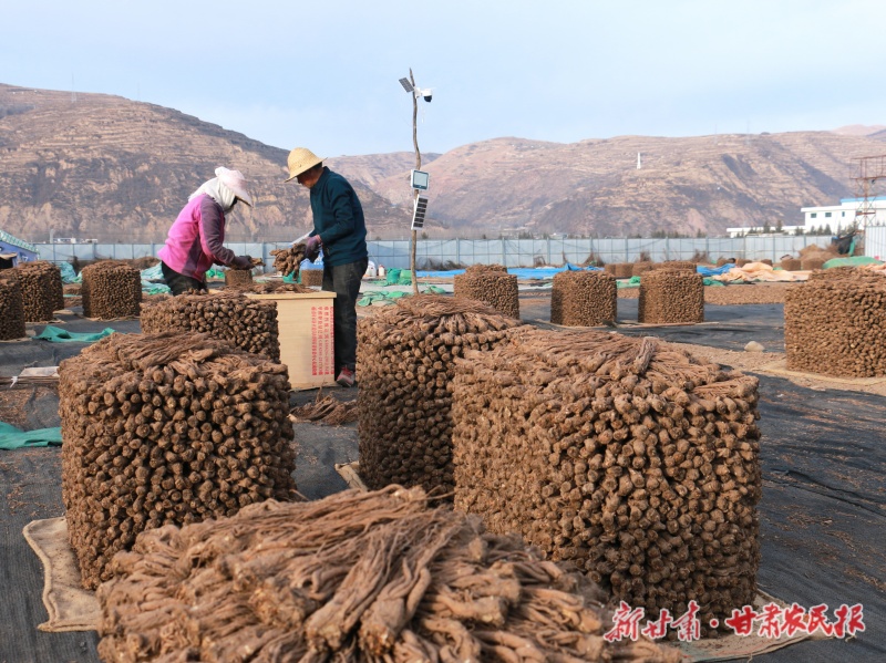 岷县梅川镇药材晾晒场