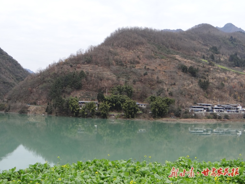 【图片新闻】美丽的碧口镇冬日暖景如诗