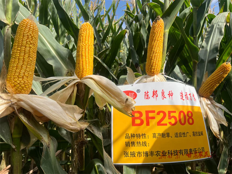 我省粮食和油料生产获农业农村部通报表扬