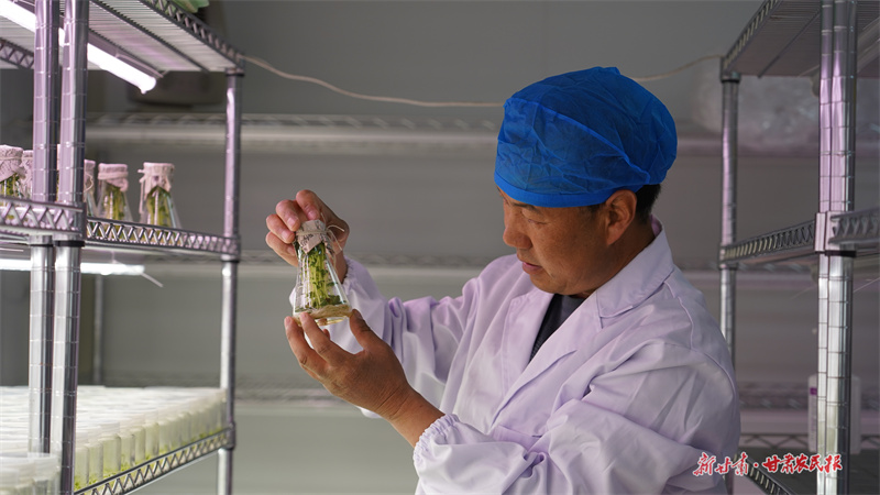 静宁：旱塬披&ldquo;银甲&rdquo; 科技保丰粮