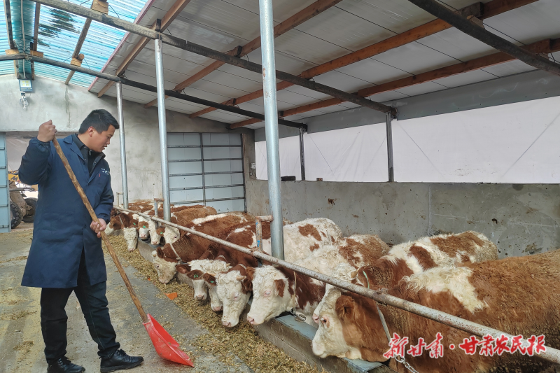 王沛：小农场书写乡村振兴大文章