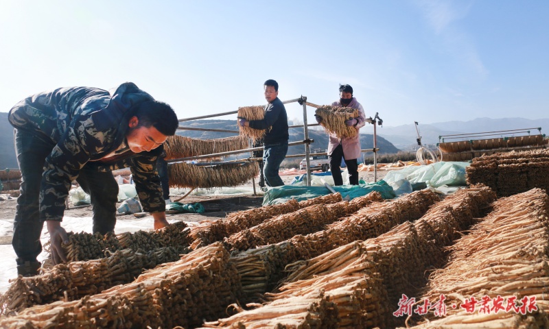 中药材晾晒