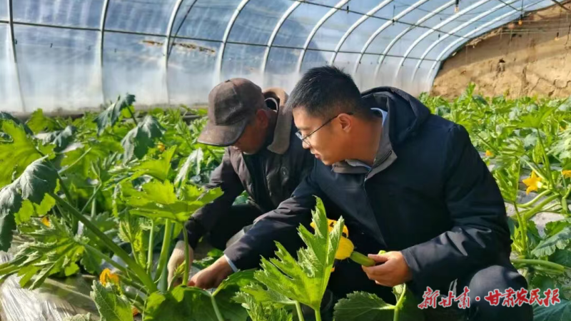 古浪泗水镇日光温室大棚