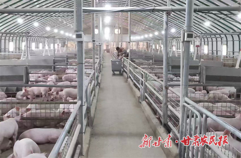 秦州区：项目引领特色赋能 畜牧养殖绘就增收新图景